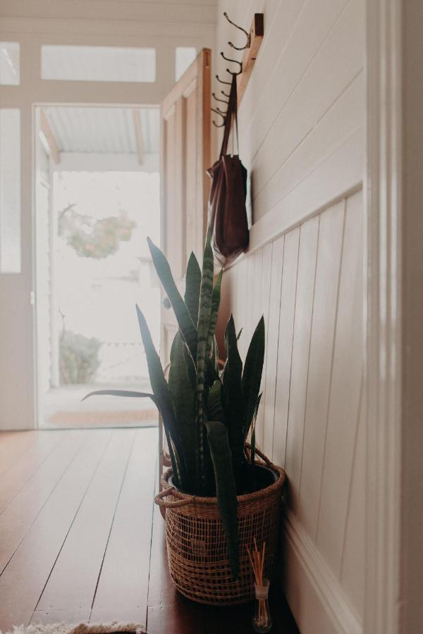 The Allotment Albany - Centrally Located Cottage In Old แอลบานี ภายนอก รูปภาพ